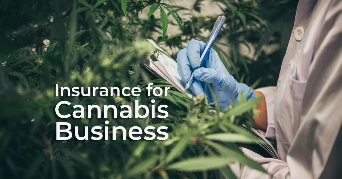 What Insurance Does a Massachusetts Cannabis Business Need?